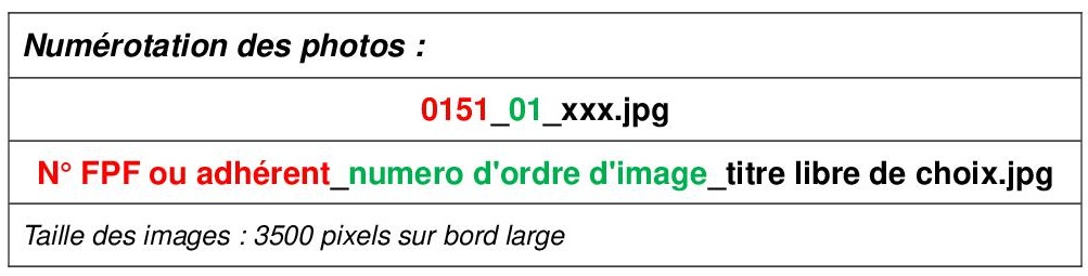 Nomenclature des images