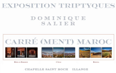 Dominique SALIER expose à Illange – nov. 2025