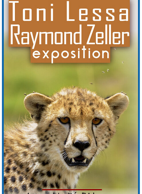 Lessa-Zeller-affiche expo