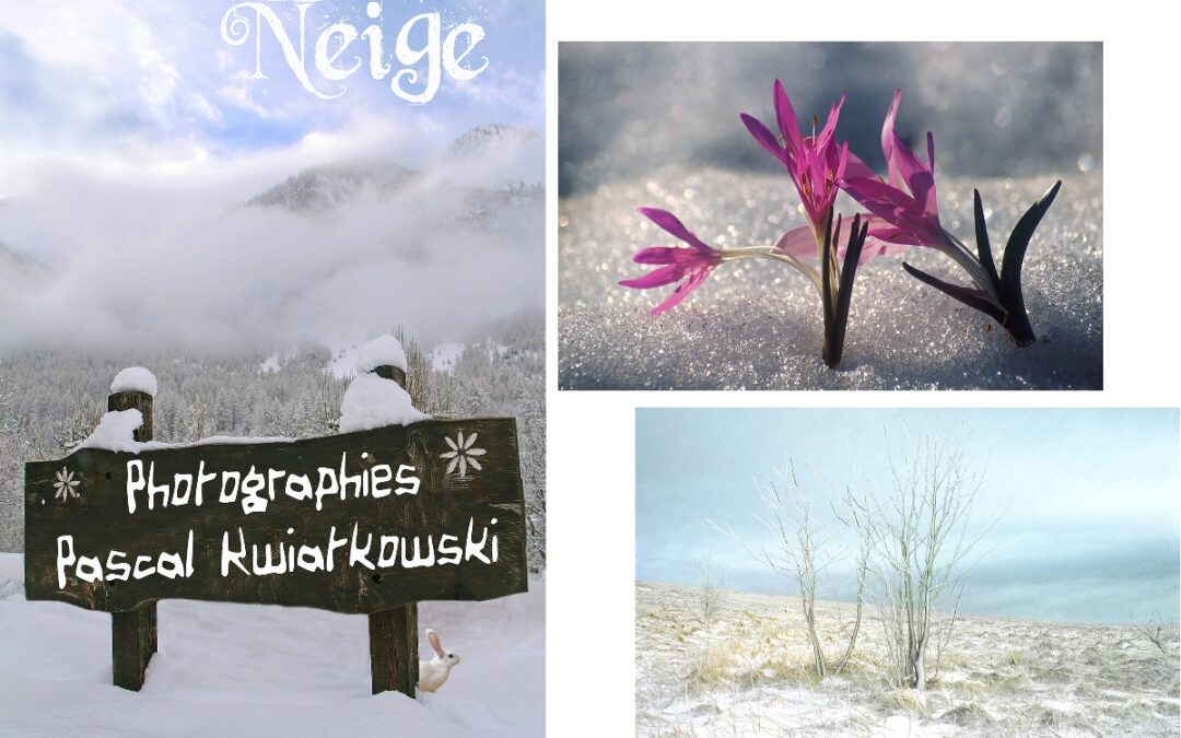 PK_photos neige